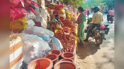 Eco-friendly Diwali Ideas: इको-फ़्रेंडली दिवाली मनाने के लिए 7 बेस्ट आइडियास