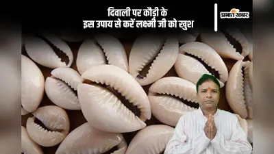 Diwali 2025 Upay: दिवाली की रात जरूर करें ये उपाय, मां लक्ष्मी बरसाएंगी कृपा