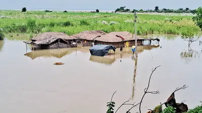 Gopalganj News : ध्वस्त गाइड बांध की मरम्मत नहीं होने से रामपुर टेंगराही में बाढ़ ने मचायी तबाही