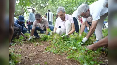 चिरेका महाप्रबंधक ने किया सामूहिक श्रमदान