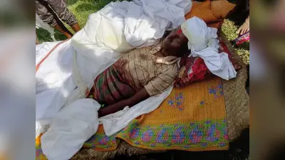 मवेशी के हमले से मालिक की मौत