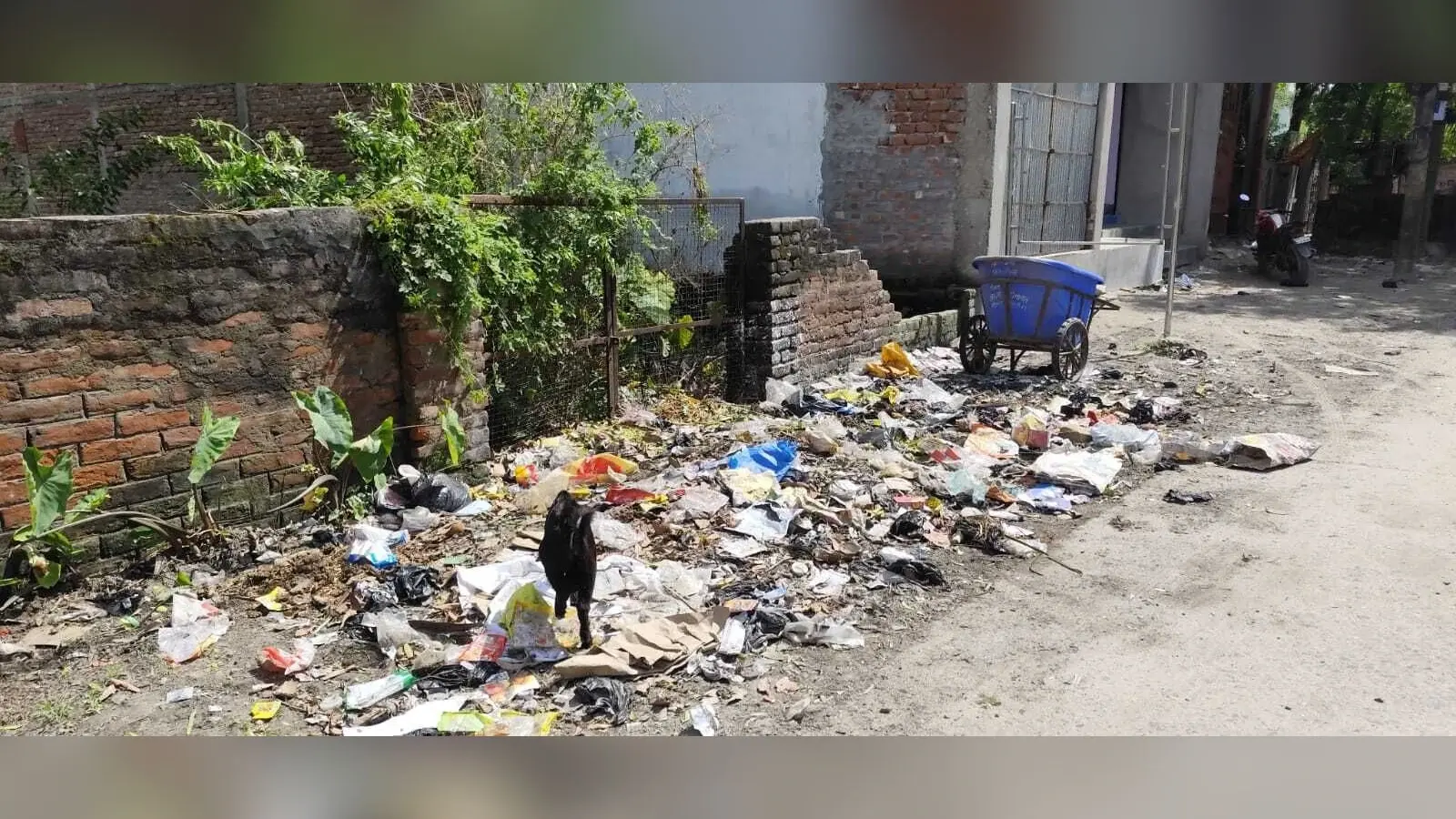 स्वच्छता अभियान को ठेंगा दिखा रहा है नपं के वार्ड नंबर आठ में जमा कूड़े का ढेर