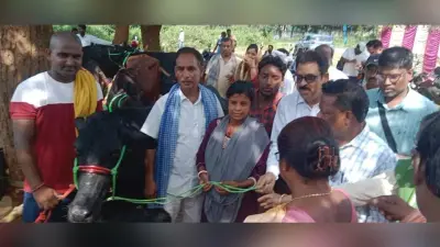53 पशुपालकों के बीच दुधारू गाय का किया गया वितरण