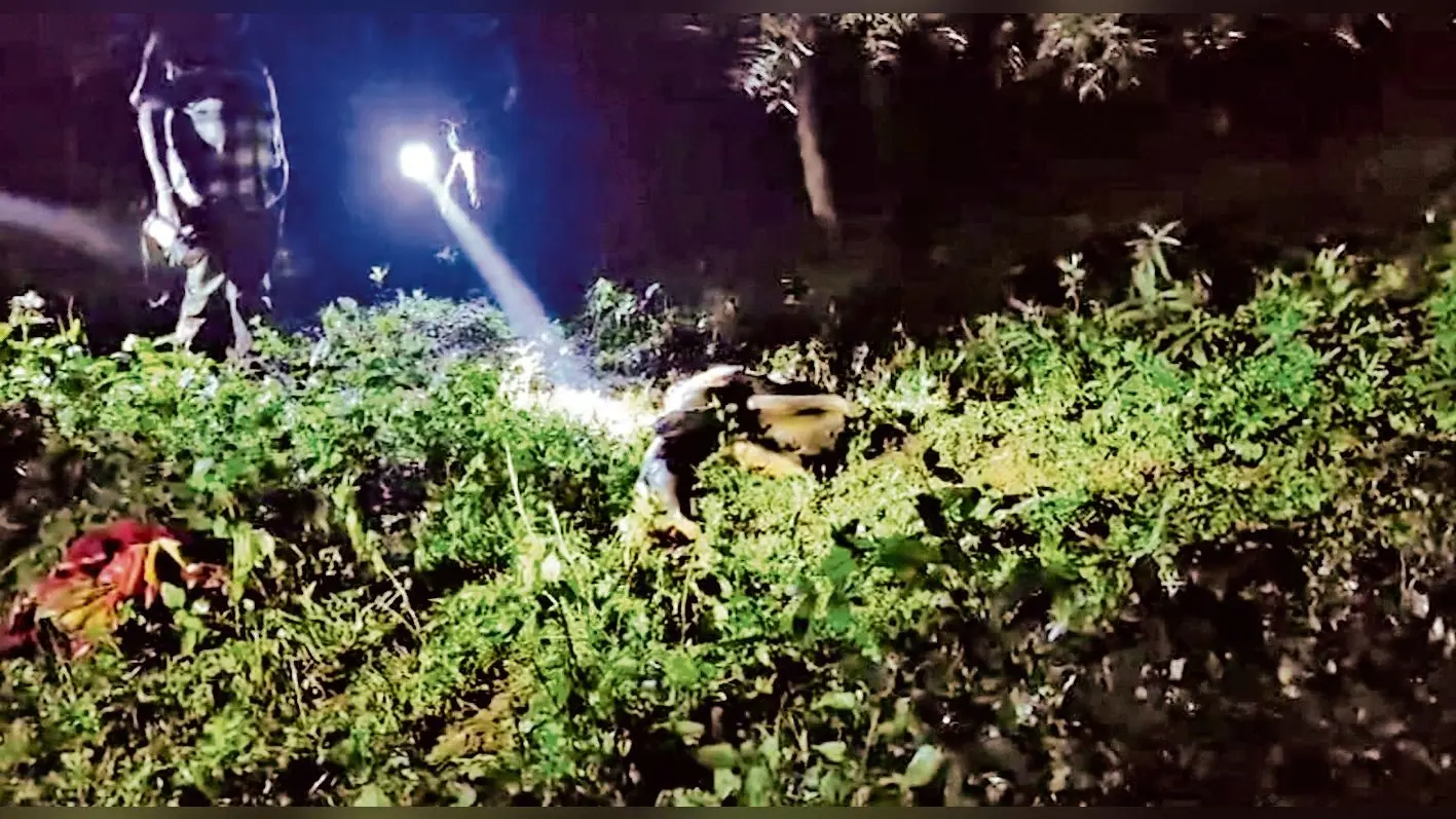 Rourkela News: कोइड़ा के पाटमुंडा गांव में दंतैल हाथी के हमले में ग्रामीण की मौत