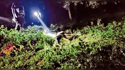 Rourkela News: कोइड़ा के पाटमुंडा गांव में दंतैल हाथी के हमले में ग्रामीण की मौत