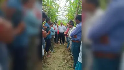 Sugarcane cultivation: नयी तकनीक से हो रहे गन्ना खेती का किसानों ने किया अवलोकन