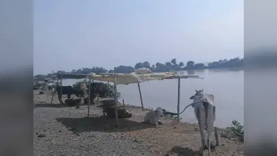 आलमनगर में तीन व चौसा की चार पंचायतें बाढ़ प्रभावित क्षेत्र घोषित, लोगों में आक्रोश