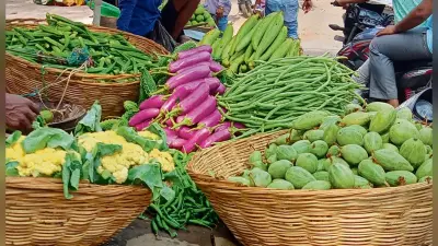 Chhapra News : दशहरा में सब्जियों के दाम ने फीका किया स्वाद, टमाटर ने लोगों को किया ”लाल”