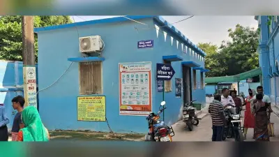 डेंगू का कहर : सात वर्षीय बालक सहित एलाइजा जांच में मिले दो नये पॉजिटिव मरीज