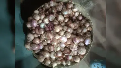 DHANBAD NEWS : रुलाने लगी प्याज, कम नहीं हो रहे लहसुन की कीमत