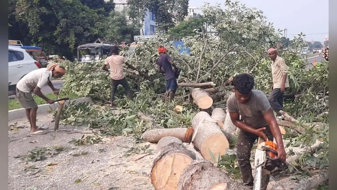 सड़क चौडीकरण को ले वृक्षों की कटाई शुरू