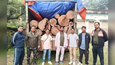 वन विभाग ने 53 पीस साल के बोटे लदे ट्रक किया जब्त, चालक गिरफ्तार