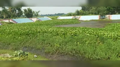 तीन साल से सीढ़ीघाट पोखर की शुद्धिकरण पूजा का इंतजार कर रहे छठव्रती