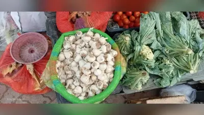 प्याज के बाद अब लहसुन का भाव 300 रुपये किलो पहुंचा