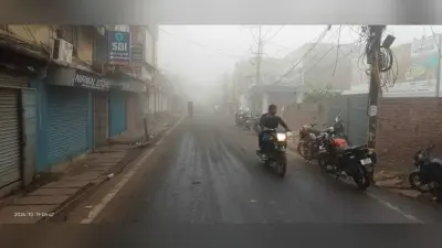जिले में गुलाबी ठंड ने दी दस्तक, सुबह तक छाया रहा कुहासा