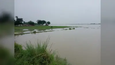 बाढ़ फसल क्षति के मुआवजा के लिये 5583 प्रभावित किसानों ने दिये आवेदन