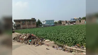 नगर नगर निगम क्षेत्र के मुख्य पोखर सहित चिन्हित 69 पोखरों को है सफाई का इंतजार