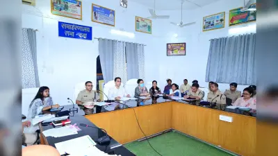 पटाखों की अवैध बिक्री, निर्माण व भंडारण पर कठोर कार्रवाई : डीएम