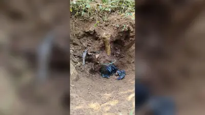Aurangabad News : पचरूखिया जंगल से मिले दो आइइडी