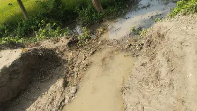 सहसौल गांव में नहर टूटने से 100 एकड़ धान की फसल जलमग्न