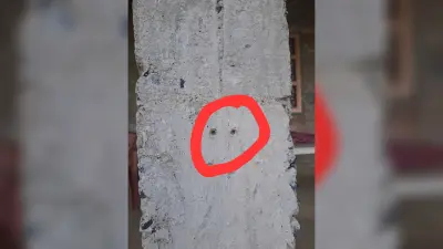 गोलीबारी की घटना में चार अज्ञात बदमाश पर प्राथमिकी दर्ज