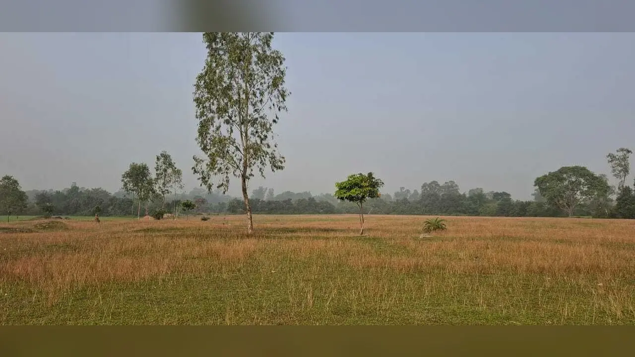 Giridih News:घटना को याद कर आज भी सिहर उठते हैं लोग