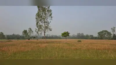 Giridih News:घटना को याद कर आज भी सिहर उठते हैं लोग