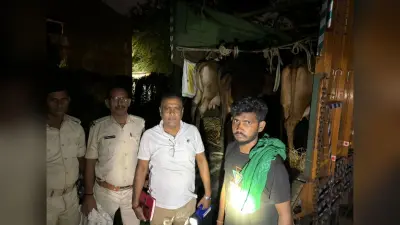 फतुहा में दो ट्रकों से 60 मवेशी बरामद