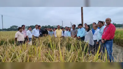 Samastipur News: जलवायु परिवर्तन किसानों के लिए बहुत बड़ी चुनौती : कुलपति