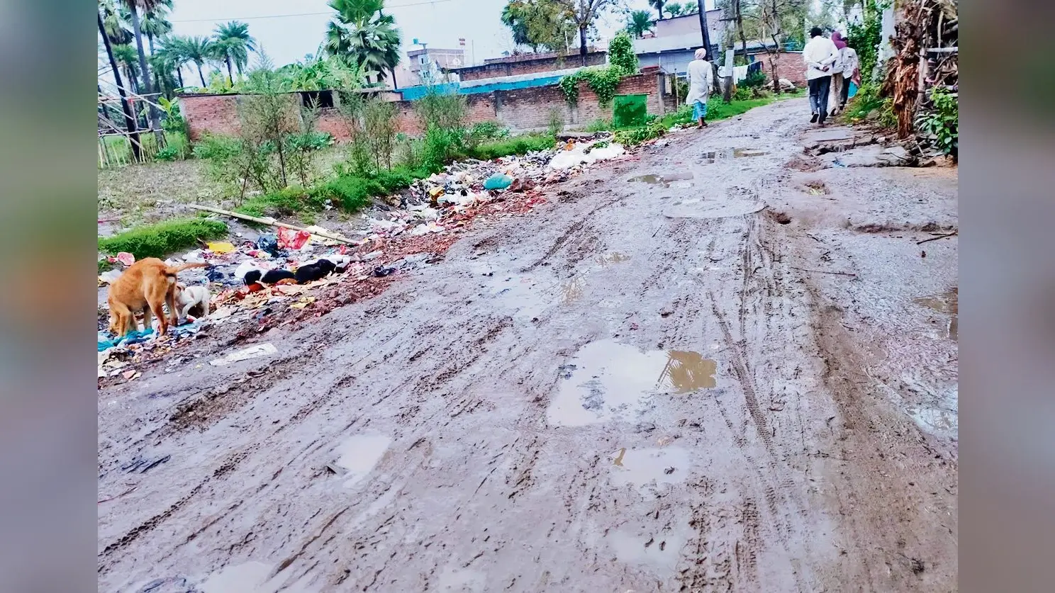 hajipur news. हल्की बारिश ने लोगों को कराया ठंड का एहसास