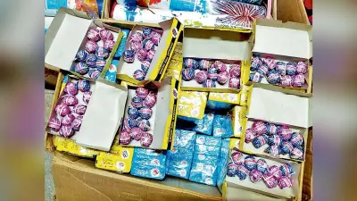 510 किलो प्रतिबंधित पटाखे जब्त, दबोचा गया आरोपी
