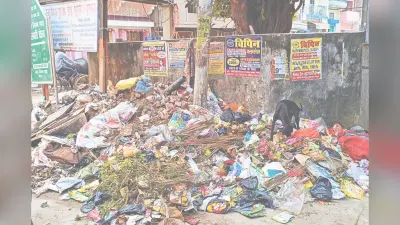 Gaya News: दीपावली की सफाई का असर, गया की सड़कों पर लगा कचरे का अंबार