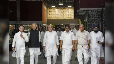 Haryana Election Result: ‘EVM में हुई है गड़बड़ी’! चुनाव आयोग से मिले कांग्रेस नेता, जांच कराने की मांग