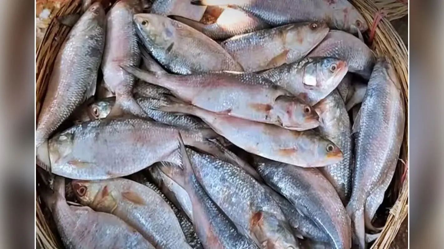 Fisheries: समुद्री खाद्य निर्यात को बढ़ावा देने के लिए प्रधानमंत्री ने की अहम बैठक