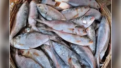 Fisheries: समुद्री खाद्य निर्यात को बढ़ावा देने के लिए प्रधानमंत्री ने की अहम बैठक
