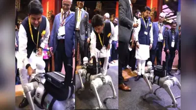 VIDEO: ज्योतिरादित्य सिंधिया ने रोबोटिक 5G Dog से किया इंटरैक्ट, X पर लिखा- मेरे नये दोस्त रॉकी से मिलिए