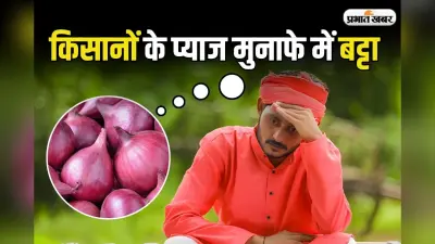 Onion: किसानों के पास नहीं पहुंच रहा प्याज का मुनाफा,खा रहा है कौन?