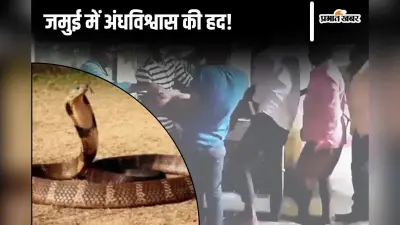 Jamui News: सांप डसने के बाद मंदिर में लिटाया, पानी से नहलाया, मुर्दे को जिंदा करने के लिए करते रहे प्रार्थना