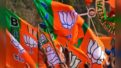 हाय रे हेमंत सरकार! झारखंड BJP ने स्कूलों की बदहाल स्थिति को लेकर कांग्रेस और झामुमो पर बोला हमला