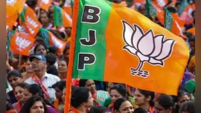 Jharkhand Assembly Election 2024: 12 के फेर कई बार फंसी BJP, जानिए क्या कहते हैं चुनावी आकंड़े
