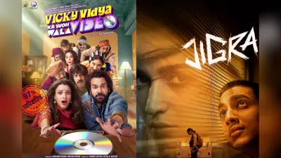 Box Office Report: 25 करोड़ के करीब राजकुमार-तृप्ति की फिल्म, आलिया की फिल्म रह गई कई करोड़ पीछे