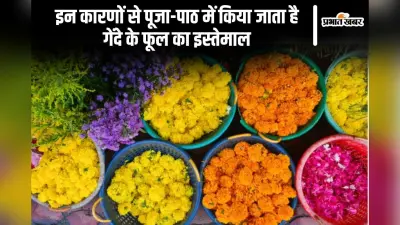 इन कारणों से पूजा-पाठ में किया जाता है गेंदे के फूल का इस्तेमाल
