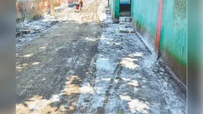 Muzaffarpur News: दिवाली से पहले हर गली-मुहल्ले में होगा ब्लीचिंग व चूना का छिड़काव, नगर-निगम ने की तैयारी