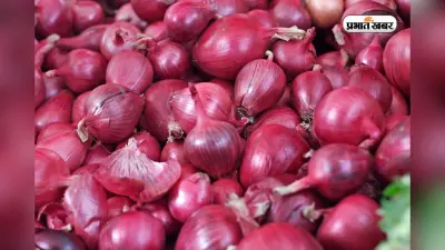 Onion Price: प्याज के दाम पर लगेगी लगाम, मुनाफाखोरों पर सरकार के हमले में पहली बार रेलवे की एंट्री