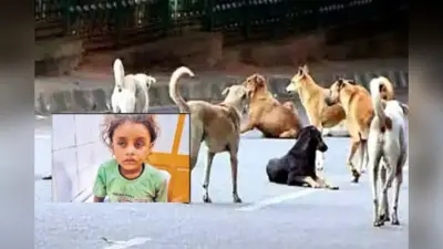 Sheohar News: कुत्ते ने 3 साल के बच्चे का प्राइवेट पार्ट नोचा, गंभीर स्थिति में भर्ती