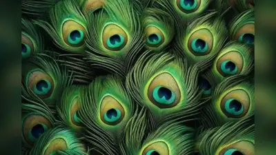 Significance of Buying Peacock Feather on Diwali: दिवाली पर इन शुभ कारणों से खरीदे जाते हैं मोरपंख