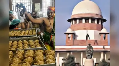 Tirupati Laddu Case : जांच के लिए सुप्रीम कोर्ट ने SIT का किया गठन, कहा- राजनीतिक ड्रामा नहीं बनना चाहिए