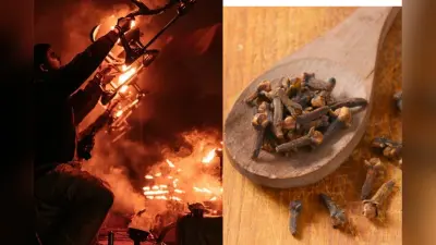 Navratri: नवरात्रि में लौंग का चमत्कार माता दुर्गा को प्रसन्न करें