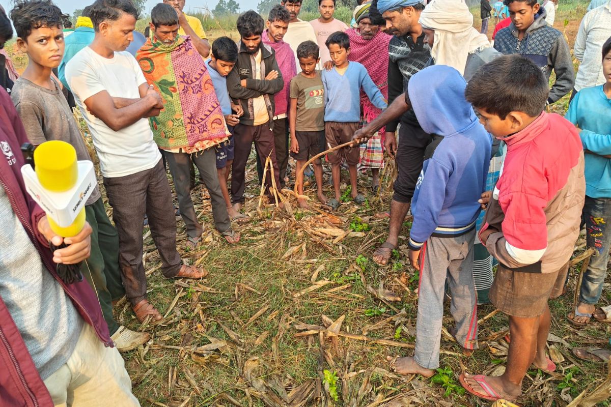 Jharkhand News: गढ़वा में जंगली हाथियों का उत्पात, एक को उतारा मौत के घाट, बीते ढाई माह में 6 लोगों की ली जान