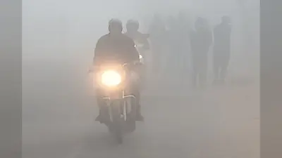 Chaibasa Weather: पश्चिमी सिंहभूम में गर्म दिन, रातें सर्द, खांसी, जुकाम, गले और सिरदर्द के मरीज बढ़े